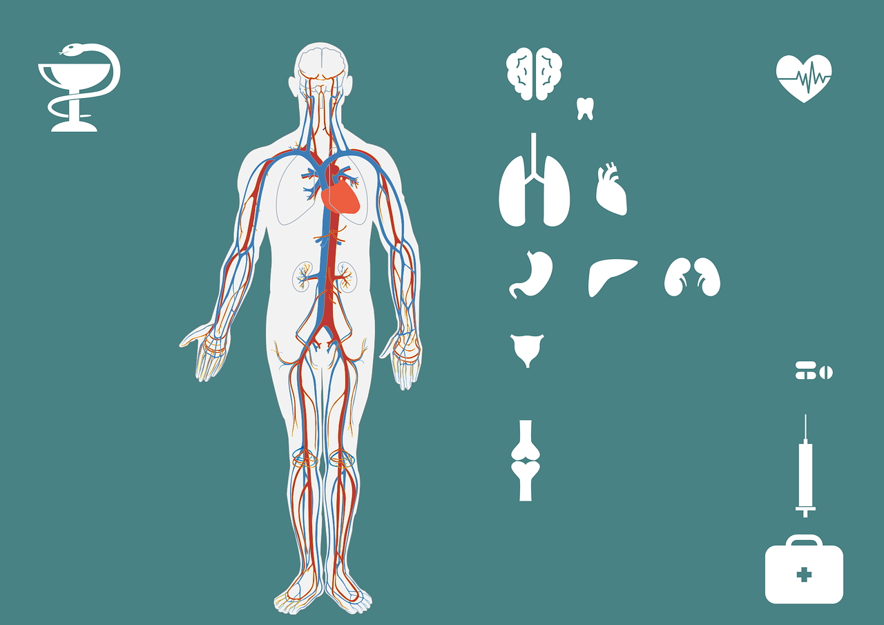 小班健康下期总结小班健康下期总结怎么写  第1张